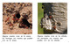 Thumb_where_do_insects_live_span_lowresspread_page_4