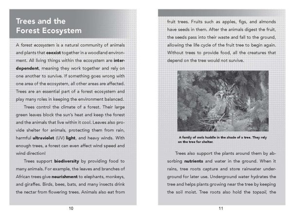 Interior spread #3 for The Story of Environmentalist Wangari Maathai by Jen Cullerton Johnson and Sonia Lynn Sadler