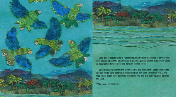 Interior spread #2 for Parrots Over Puerto Rico by Susan L. Roth; Cindy Trumbore and Susan L. Roth