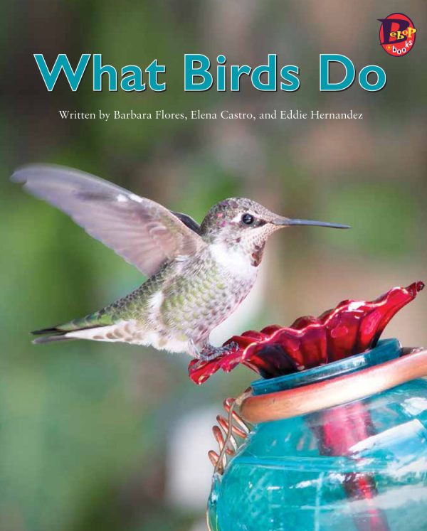 Front cover for What Birds Do by Elena Castro; Barbara Flores; Eddie Hernández