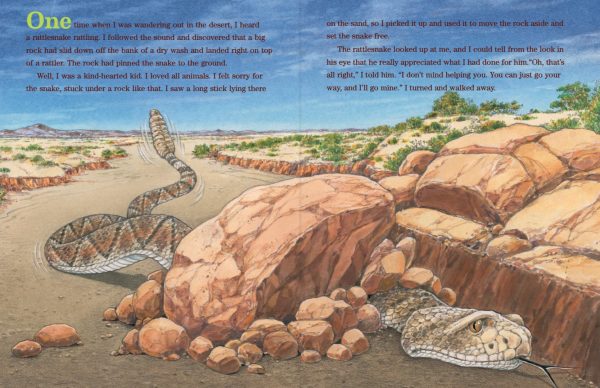 Interior spread #2 for My Pet Rattlesnake by Joe Hayes and Antonio Castro L.