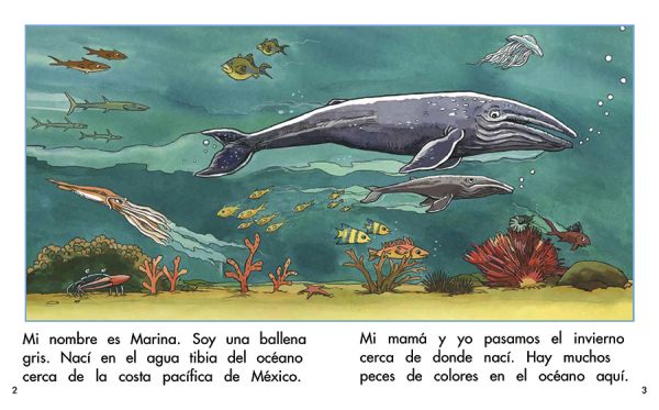 Interior spread #1 for Marina la ballena by Barbara Flores; Elena Castro; Eddie Hernández and Carlos Senties