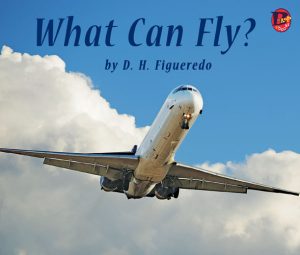 Front cover for What Can Fly? by Danilo Figueredo