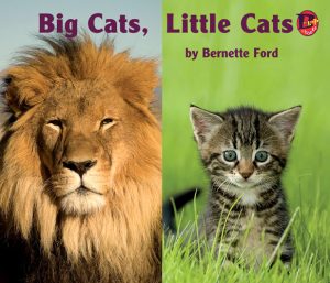 Front cover for Big Cats, Little Cats by Bernette Ford