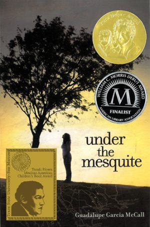 Front cover for Under the Mesquite by Guadalupe García McCall