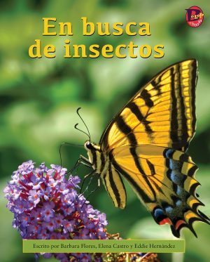 Front cover for En busca de insectos by Barbara M. Flores; Elena Castro; Eddie Hernández