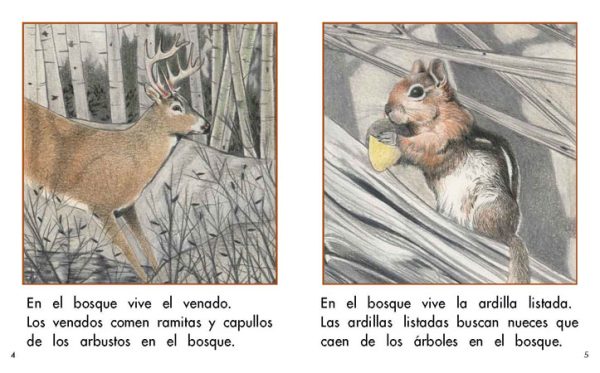 Interior spread #3 for En el bosque by Barbara M. Flores; Elena Castro; Eddie Hernández and Michael Ramirez