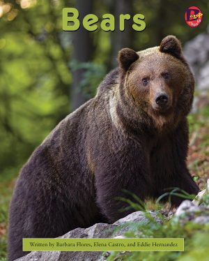 Front cover for Bears by Barbara M. Flores; Elena Castro; Eddie Hernández