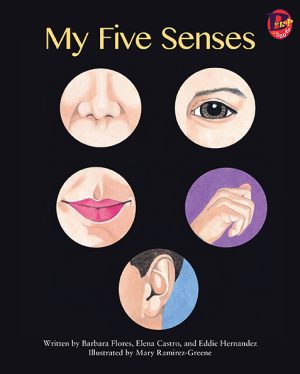 Front cover for My Five Senses by Elena Castro; Barbara Flores; Eddie Hernandez and Mary Ramírez-Greene