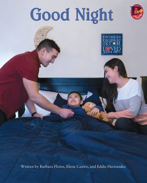 Front cover for Good Night by Barbara Flores; Elena Castro; Eddie Hernández