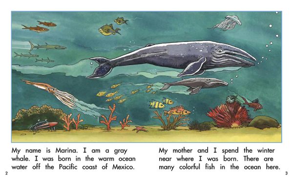 Interior spread #1 for Marina the Whale by Barbara Flores; Elena Castro; Eddie Hernández and Carlos Senties