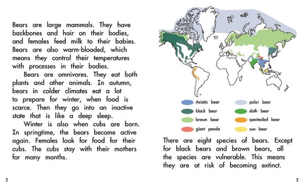 Interior spread #1 for Bears by Barbara M. Flores; Elena Castro; Eddie Hernández