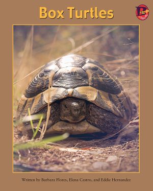 Front cover for Box Turtles by Barbara M. Flores; Elena Castro; Eddie Hernández