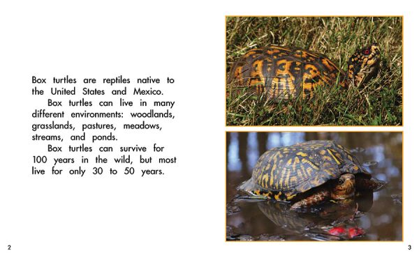 Interior spread #1 for Box Turtles by Barbara Flores; Elena Castro; Eddie Hernández