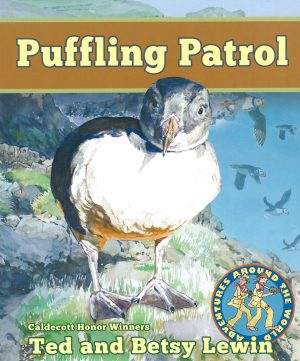 Front cover for Puffling Patrol by Ted Lewin; Betsy Lewin and Ted Lewin; Betsy Lewin