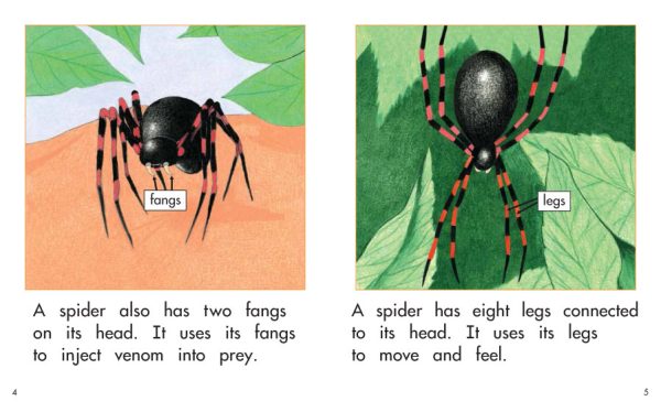 Interior spread #3 for A Spider's Body by Elena Castro; Barbara Flores; Eddie Hernandez and Michael Ramirez; Mary Ramírez-Greene