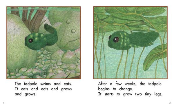 Interior spread #3 for The Tadpole by Barbara M. Flores; Barbara M. Flores; Eddie Hernández and Michael Ramirez