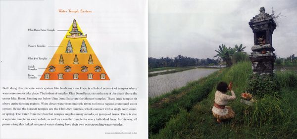 Interior spread #1 for Cycle of Rice, Cycle of Life by Jan Reynolds and Jan Reynolds