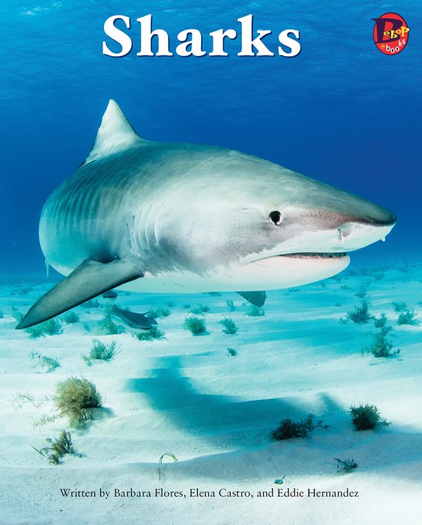 Front cover for Sharks by Barbara M. Flores; Elena Castro; Eddie Hernández