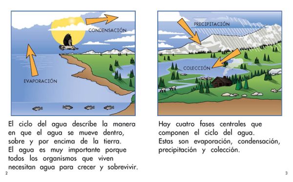 Interior spread #2 for El ciclo del agua by Barbara M. Flores; Elena Castro; Eddie Hernández