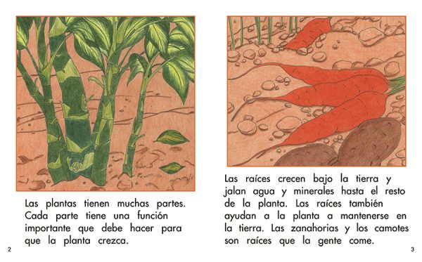 Interior spread #1 for Las partes de una planta by Barbara M. Flores; Elena Castro; Eddie Hernández and Michael Ramirez; Mary Ramírez-Greene