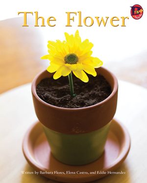 Front cover for The Flower by Elena Castro; Barbara Flores; Eddie Hernandez