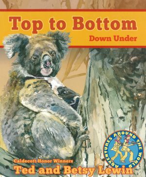 Front cover for Top to Bottom by Betsy Lewin; Ted Lewin and Betsy Lewin; Ted Lewin