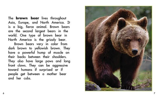 Interior spread #3 for Bears by Barbara M. Flores; Elena Castro; Eddie Hernández