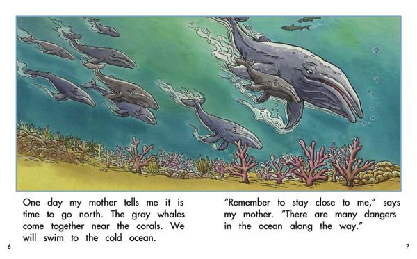 Interior spread #3 for Marina the Whale by Barbara M. Flores; Elena Castro; Eddie Hernández and Carlos Senties