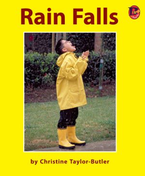 Front cover for Rain Falls by Christine Taylor-Butler