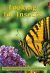 Front cover for Looking for Insects by Barbara Flores; Elena Castro; Eddie Hernández