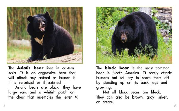 Interior spread #2 for Bears by Barbara M. Flores; Elena Castro; Eddie Hernández