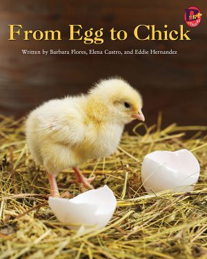 Front cover for From Egg to Chick by Barbara M. Flores; Elena Castro; Eddie Hernández and Michael Ramirez; Mary Ramírez-Greene