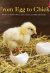 Front cover for From Egg to Chick by Barbara Flores; Elena Castro; Eddie Hernández and Michael Ramirez; Mary Ramírez-Greene