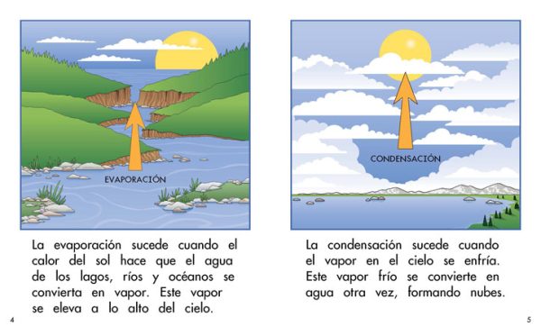 Interior spread #3 for El ciclo del agua by Barbara M. Flores; Elena Castro; Eddie Hernández