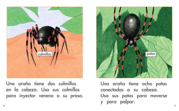 Interior spread #3 for El cuerpo de una araña by Elena Castro; Barbara Flores; Eddie Hernandez and Michael Ramirez; Mary Ramírez-Greene