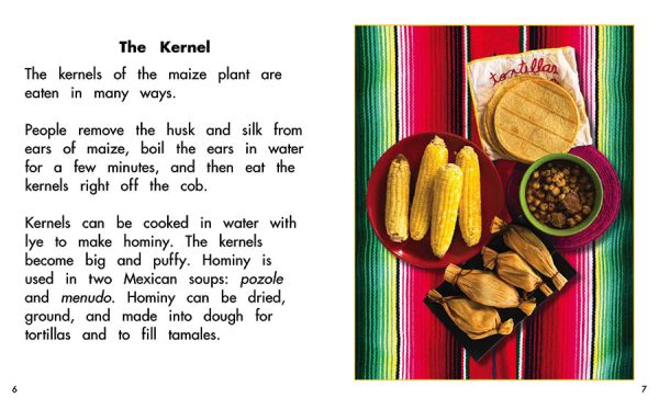 Interior spread #3 for Maize: Plant of the Americas by Barbara Flores; Elena Castro; Eddie Hernández