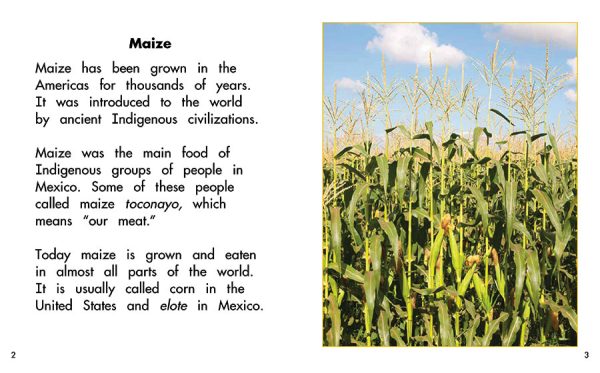 Interior spread #1 for Maize: Plant of the Americas by Barbara Flores; Elena Castro; Eddie Hernández